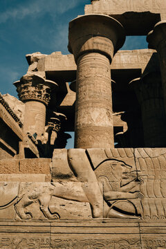 Carved relief at Kom Ombo