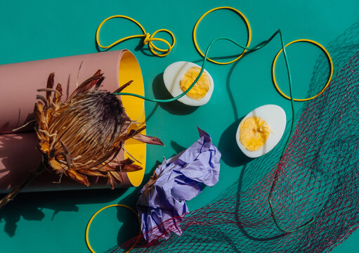 Proteus and boiled egg.