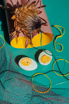 Modern conceptual still life with egg.