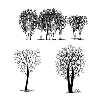 Set of trees sketch hand drawing silhouette black and white vector illustration.