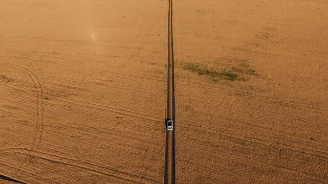 white Car in the middle of a wheat field