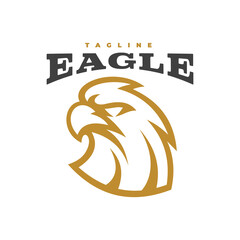 Bird eagle falcon or hawk head line art mascot logo design