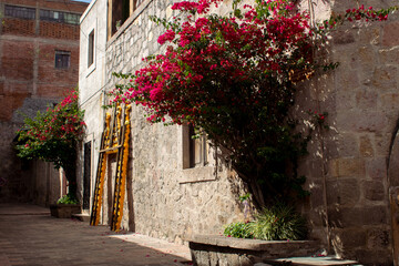 Alleyway at a town overlooking Day of the Death offering preparations