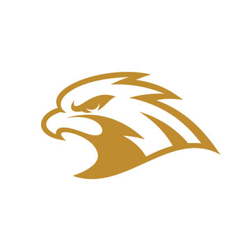 recommend clip art: Bird eagle falcon or hawk head line art mascot logo design