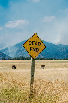 Wildfires and a Dead End