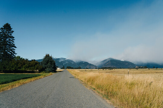 Rural road leading to a forest fire