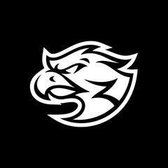 Bird, eagle, falcon or hawk head mascot logo design on dark background