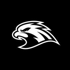 Bird, eagle, falcon or hawk head mascot logo design on dark background