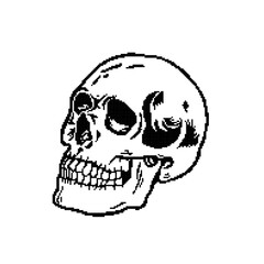simple pixel style skull vector