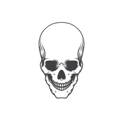 Skull Head Vector Illustration. Perfect for T-Shirt and Poster Designs