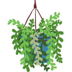 green hanging plants