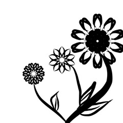 Blooming of summer flower branch collection