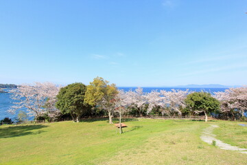 海沿いの公園
