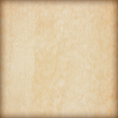 Old Paper texture. vintage paper background or texture; brown paper texture