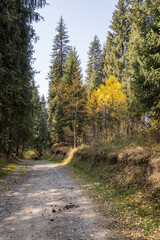 Autumn landscape - blue sky, yellow ground, mountains and hills, green and yellow foliage of the forest trees