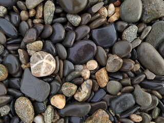 sea pebbles