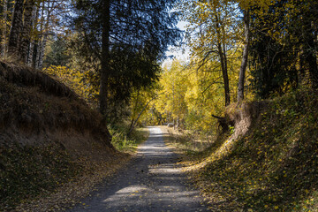 Autumn landscape - blue sky, yellow ground, mountains and hills, green and yellow foliage of the forest trees