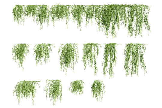 Creeper Texture PNG - Download Free & Premium Transparent Creeper Texture  PNG Images Online - Creative Fabrica