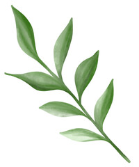 Obraz premium green leaves watercolor