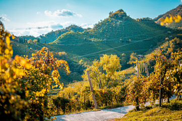 Conegliano Valdobbiadene vineyards and hills in autumn. Italy