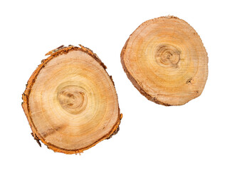 Two cuts of wooden logs on a white background.