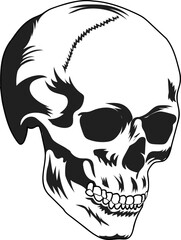 Skull Vector