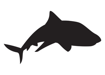 shark sealife animal silhouette