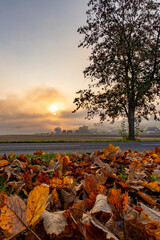 Sonnenaufgang im goldenen Herbst mit Feld und B&auml;umen