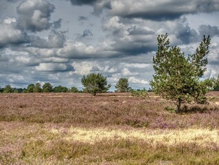 Wolkenspiel in Heidelandschaft
