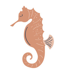 seahorse sealife animal