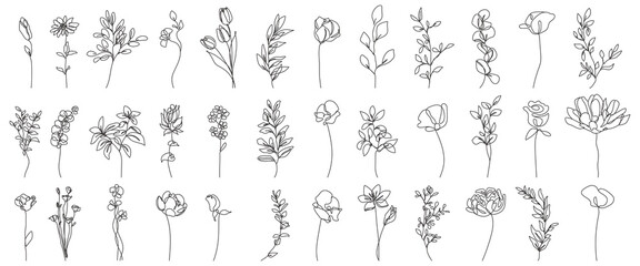Line Drawing Flowers. Continuous Line Drawing Of Plants Black Sketch of Flowers Isolated on White Background. Botanical Set Abstract Simple Illustration for Minimalist Design. Vector EPS 10. 