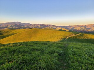 Fototapeta na wymiar The endless rolling green East Bay hills after the winter rains near San Francisco, Californiia
