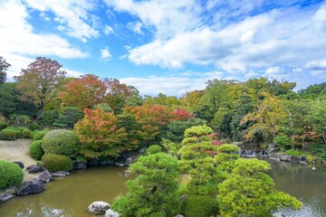 Fototapeta premium 色づき始めたモミジの紅葉と滝のコラボ情景＠岩手