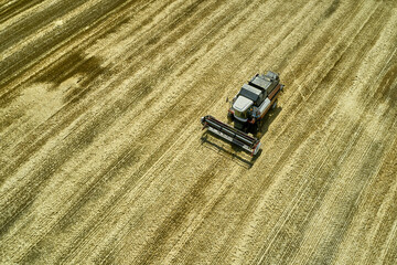 a combine harvester harvesting a field of wheat rural landscape