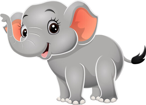 Cartoon baby elephant on white background