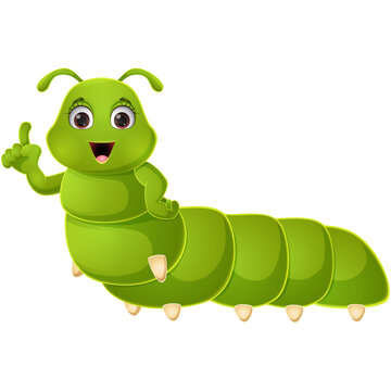 Happy caterpillar cartoon on white background