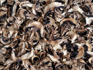 The concept of natural organic ecological products and their preparation for future use for autumn and winter.Autumn background of dried mushrooms.