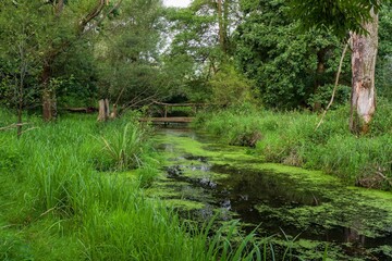 Bridge over the water at lake. Slaniska. Studenka. Northeast Moravia.