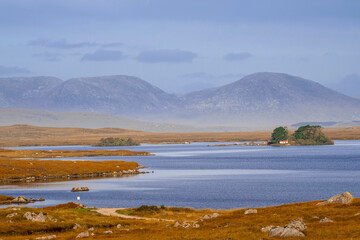 Fototapeta premium Nature scene in Connemara with lake with small island, yellow grass in a fields and mountains in the background. County Galway, Ireland. Travel and tourism. Irish landscape.
