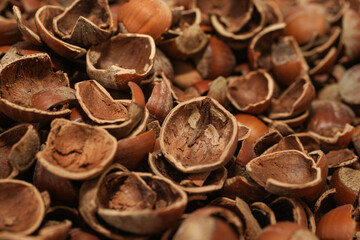 The shells of hazelnuts used in snacks and different productions by breaking their shells
