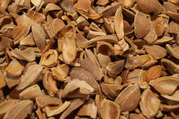 Apricot kernels, apricot kernel shell