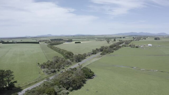 Total tracking shot of a car moving through trees and meadows as it travels down an Australian highway.