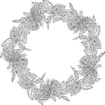 Hand Drawn Сhrysanthemum Floral Wreath In Png With Transparent Background