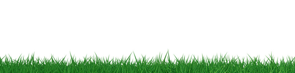 3D green grass field background
