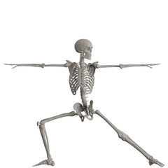 skeleton posing 3d render illustration