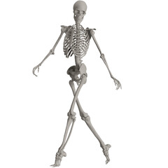 skeleton posing 3d render illustration