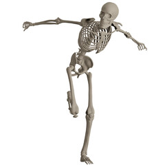 skeleton posing 3d render illustration