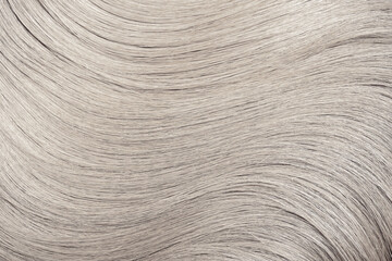 Blond hair close-up as a background. Women's long blonde hair. Beautifully styled wavy shiny curls....