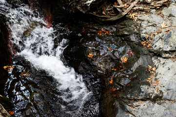 A stream among stones and rocks, nature