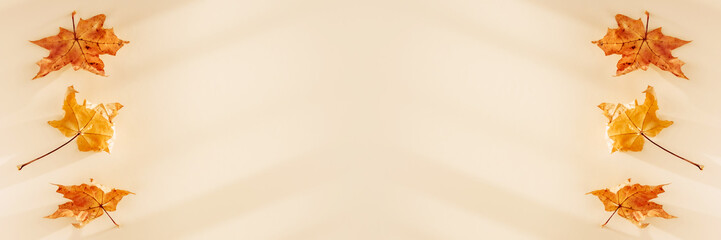 Abstract autumn background with maple tree leaves and shadows. Banner. Flat lay, top view. Copy space. Minimal concept.